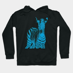 Zebra 02 Hoodie